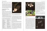 Homesteading – Growing Food, Canning, Chickens, Energy & Herbal Skills, 464 Pages