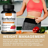 Berberine 500mg Metabolic Support Capsules, 30 Count