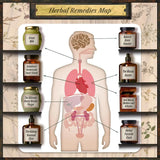 Forgotten Home Apothecary – Traditional Herbal Remedies & Home Apothecary Reference Book