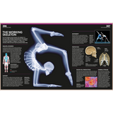 The Complete Human Body – Illustrated 3D Anatomy Atlas, Physiology Guide & Medical Conditions Reference (3rd Edition)