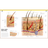 The Complete Human Body – Illustrated 3D Anatomy Atlas, Physiology Guide & Medical Conditions Reference (3rd Edition)