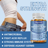Digestive & Intestinal Support Capsules, 30 Count