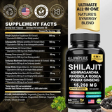 Shilajit 8-in-1 Energy & Focus Support Capsules, 60 Count